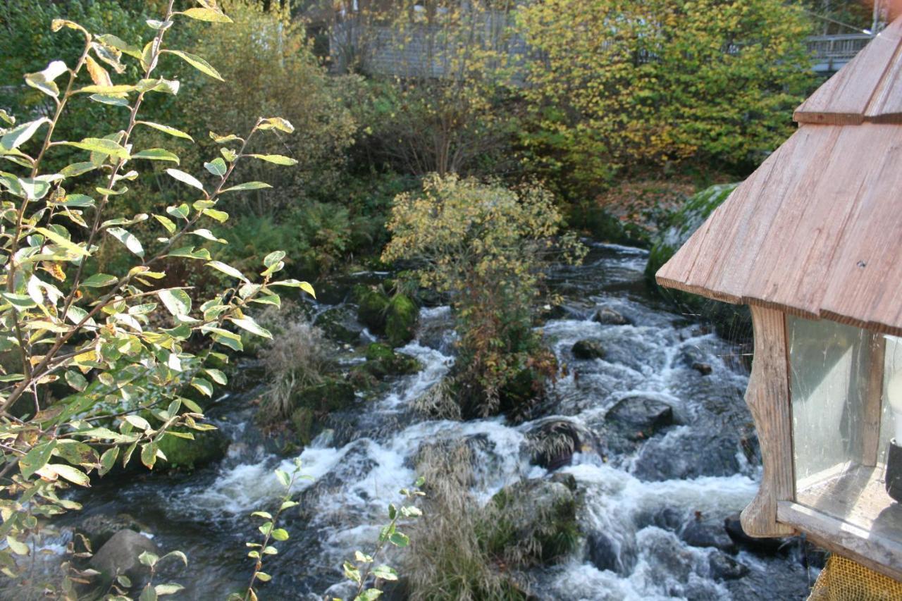 Gaestehaus Zur Lilie Triberg im Schwarzwald Bagian luar foto